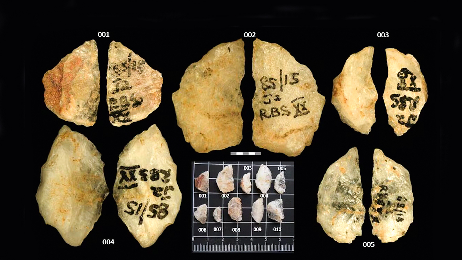 Descoberta indica que os primeiros humanos anteciparam as ‘guerras químicas’