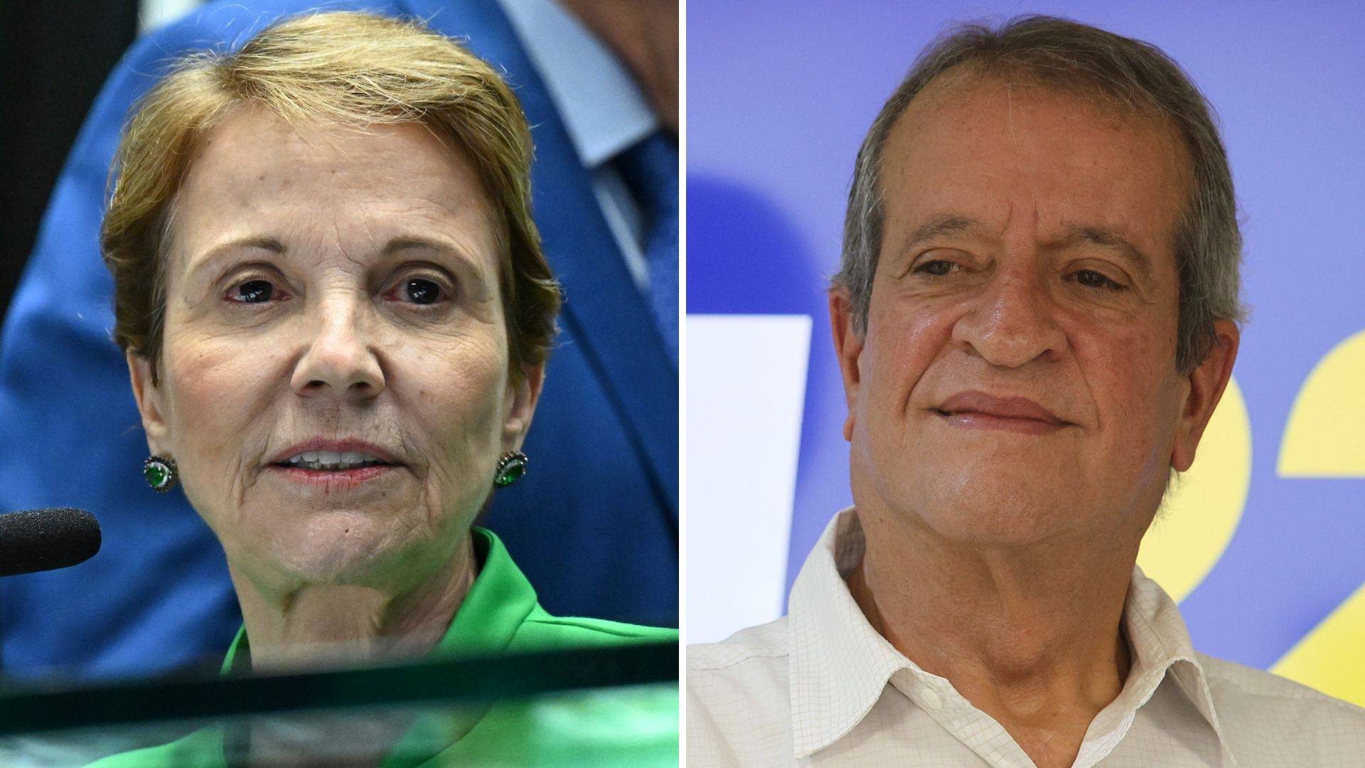 O papel de Tereza Cristina na campanha de Flávio, segundo Valdemar
