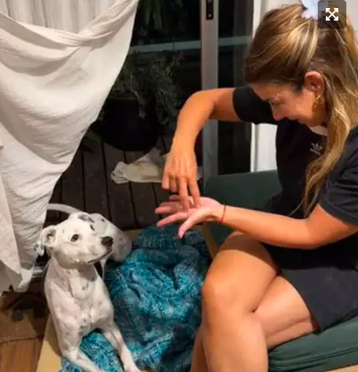Cão surdo surpreende pela capacidade de entender sinais
