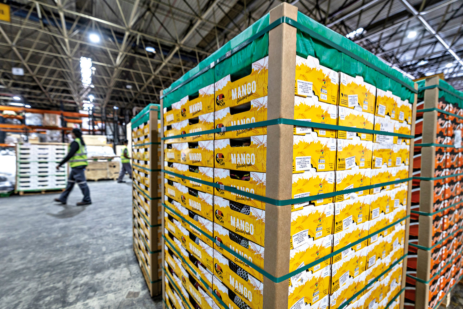 Embalagens com mangas para o mercado externo: as vendas de frutas brasileiras batem recorde