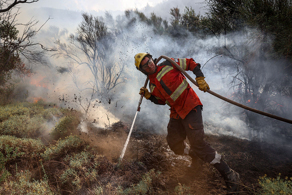 Incêndios históricos na Patagônia disparam emissões de carbono