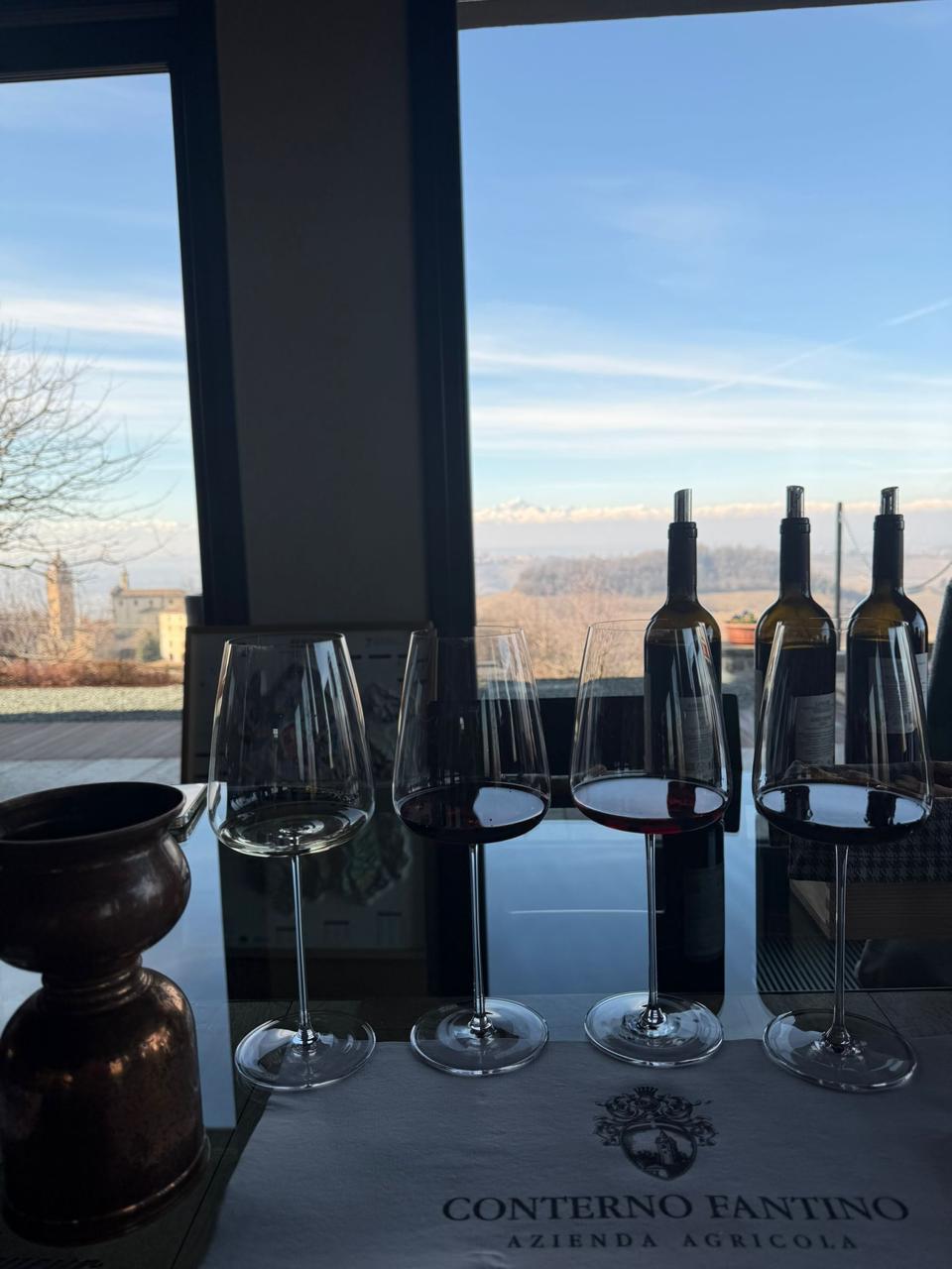 WhatsApp Image 2026-02-14 at 11.37.54