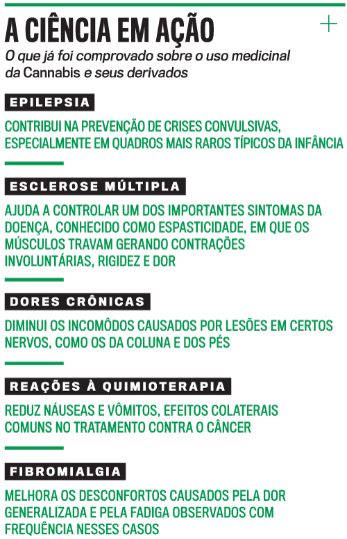 arte Cannabis