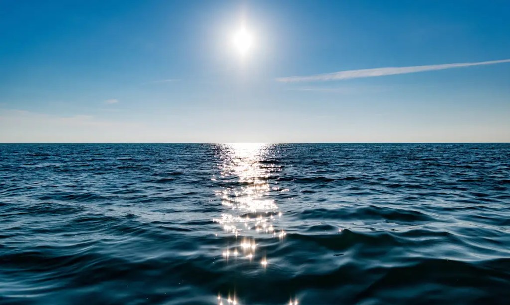 Evento no Rio debate implementação do ‘Tratado do Alto-Mar’