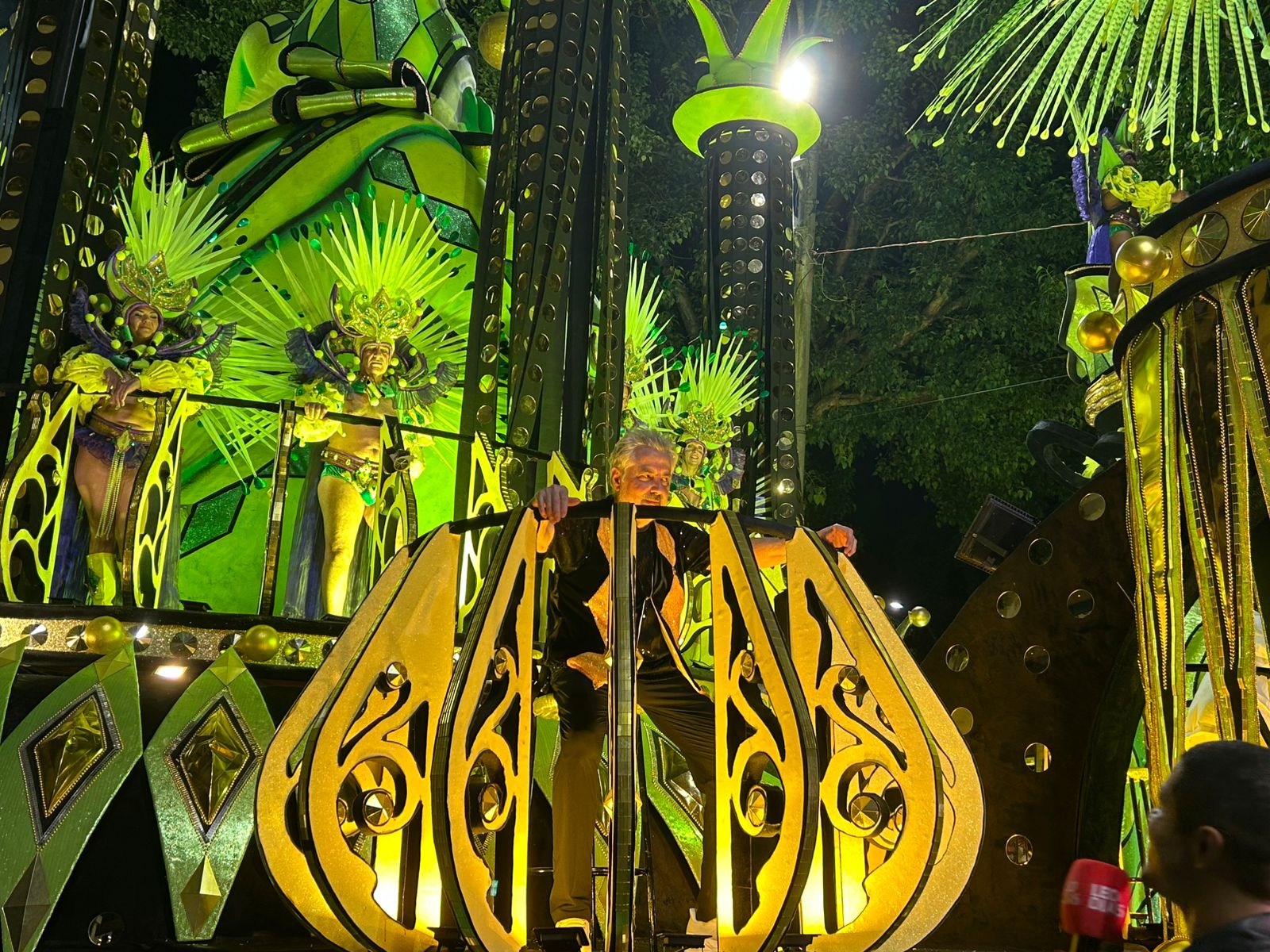 Viúvo de Rita Lee explica única condição para desfile da Mocidade