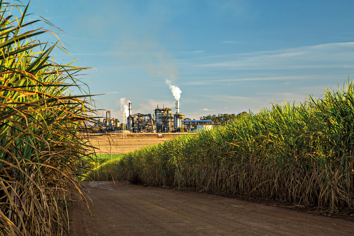 Usina de etanol: os biocombust&iacute;veis s&atilde;o um campo em que o Brasil &eacute; protagonista