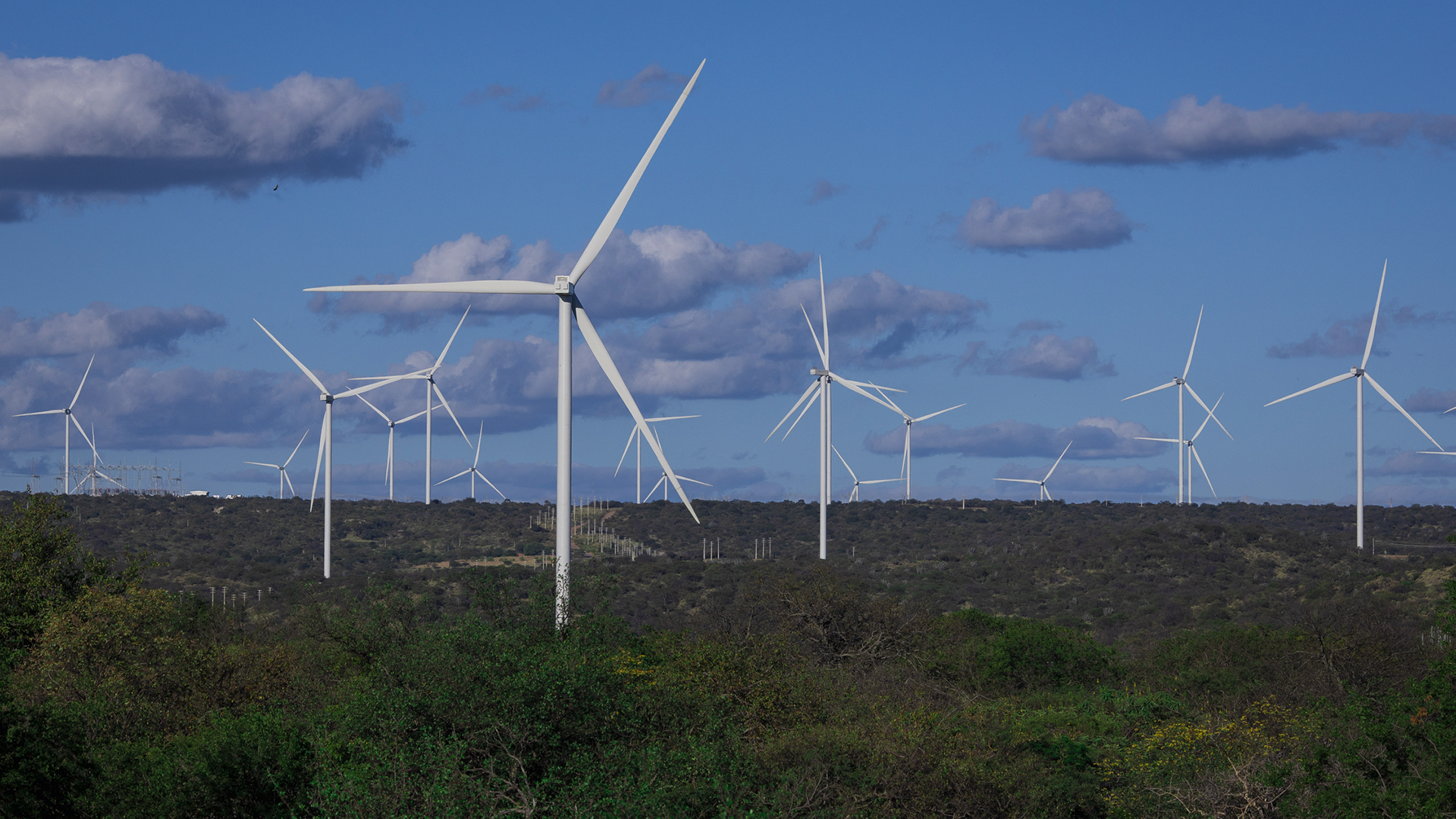 Lagoa dos Ventos, no Piauí: o maior parque eólico do Brasil