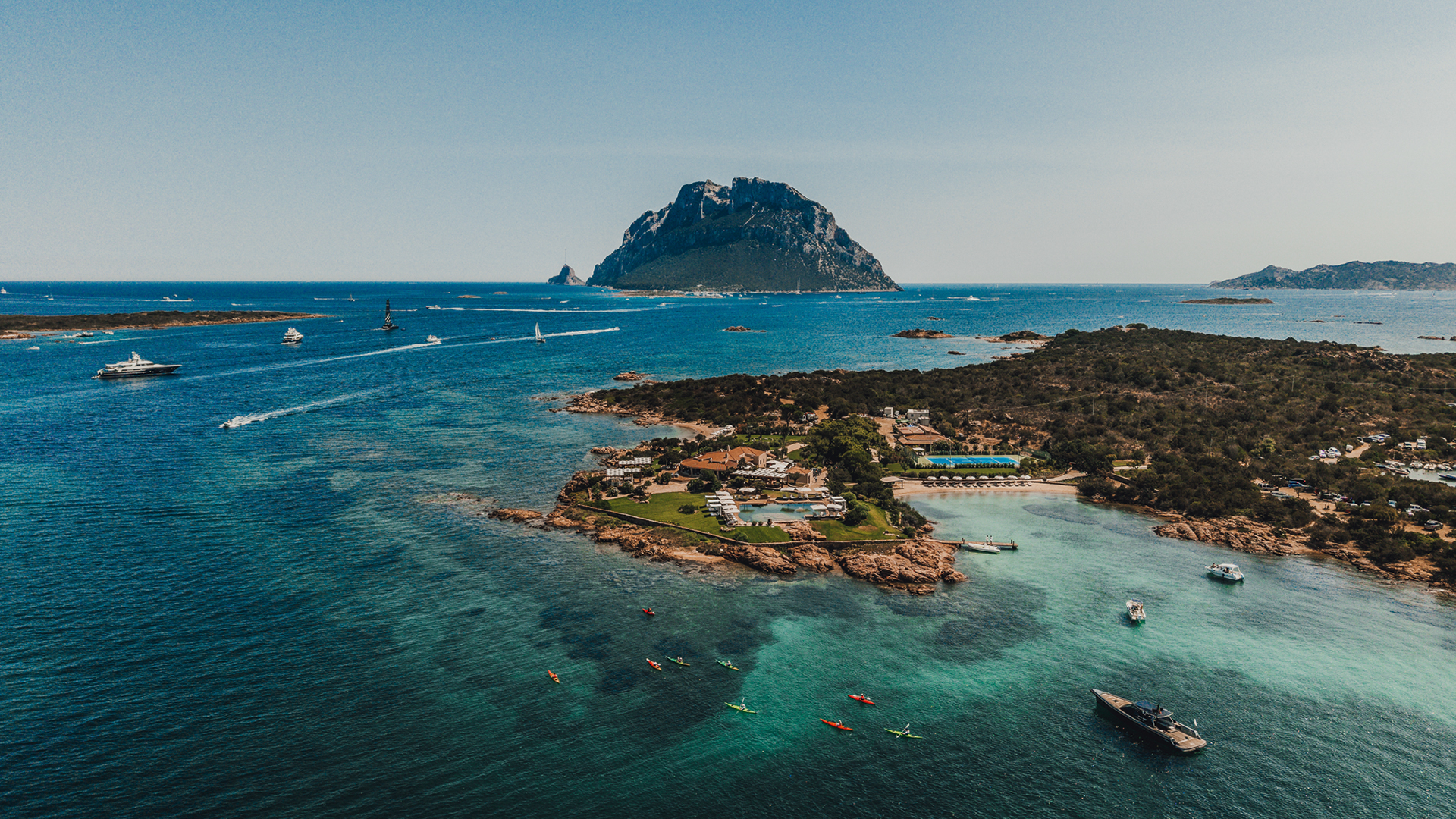 Fasano Sardegna: a empresa aposta na expans&atilde;o internacional