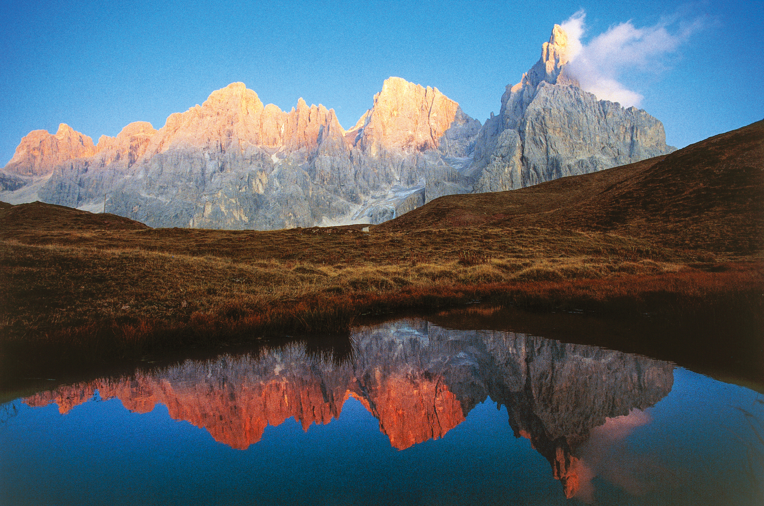 FLORESTA -&ensp;Origem das &aacute;rvores: perto de onde aconteceu a Olimp&iacute;ada de inverno