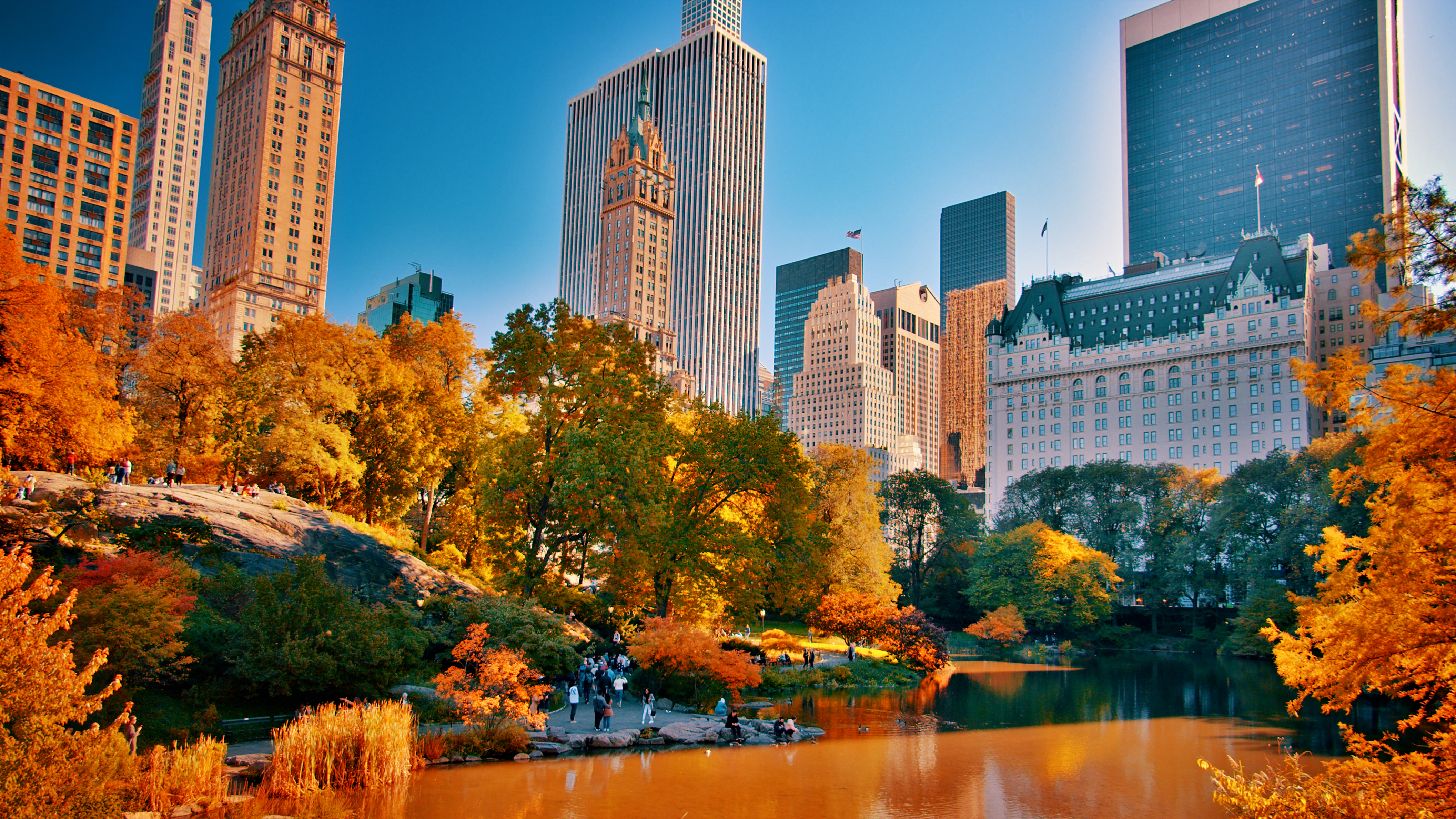 Fall. Central park. New York. tree. Nature. Office Building. Residential Building