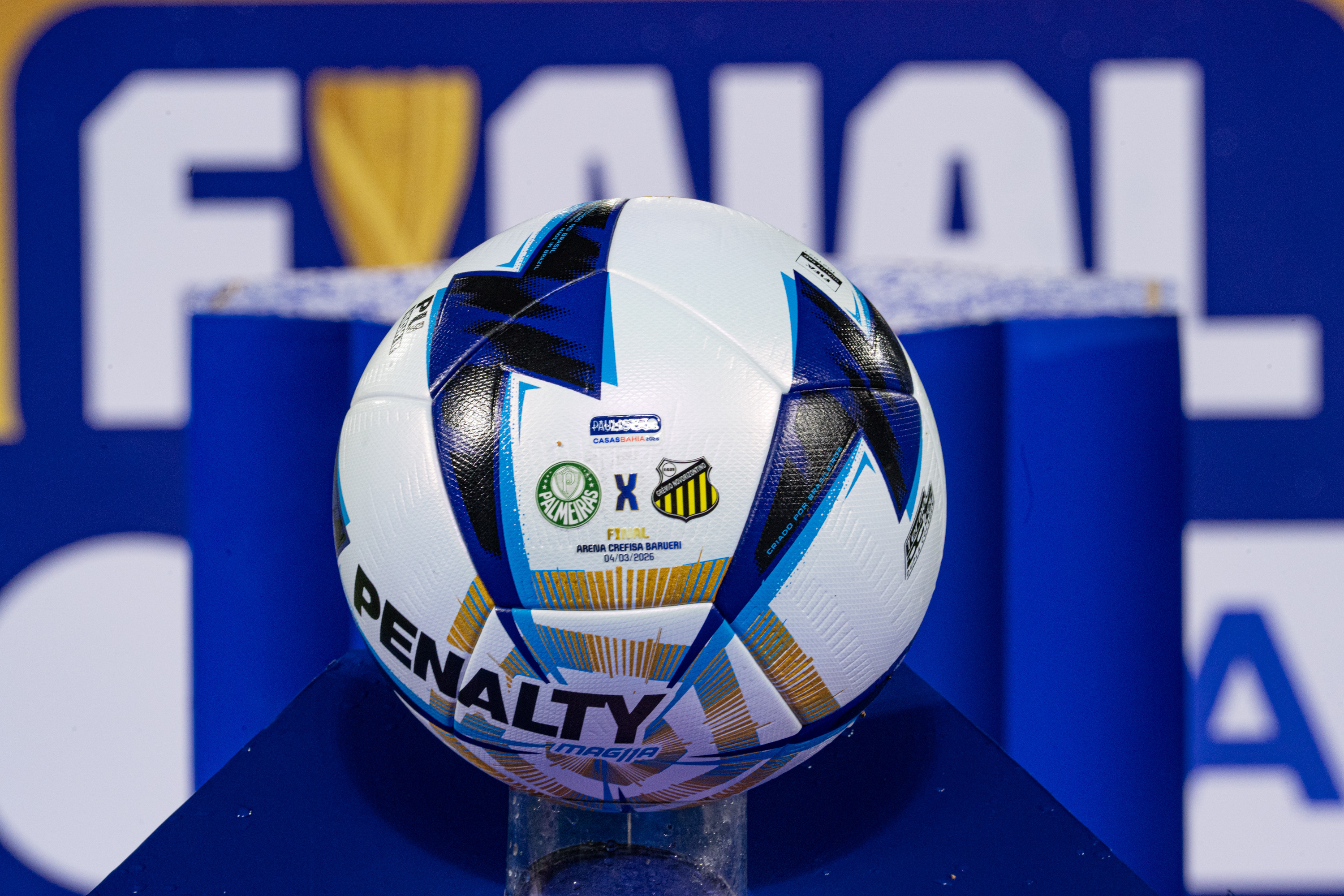 Novorizontino x Palmeiras: onde assistir, horário e escalações