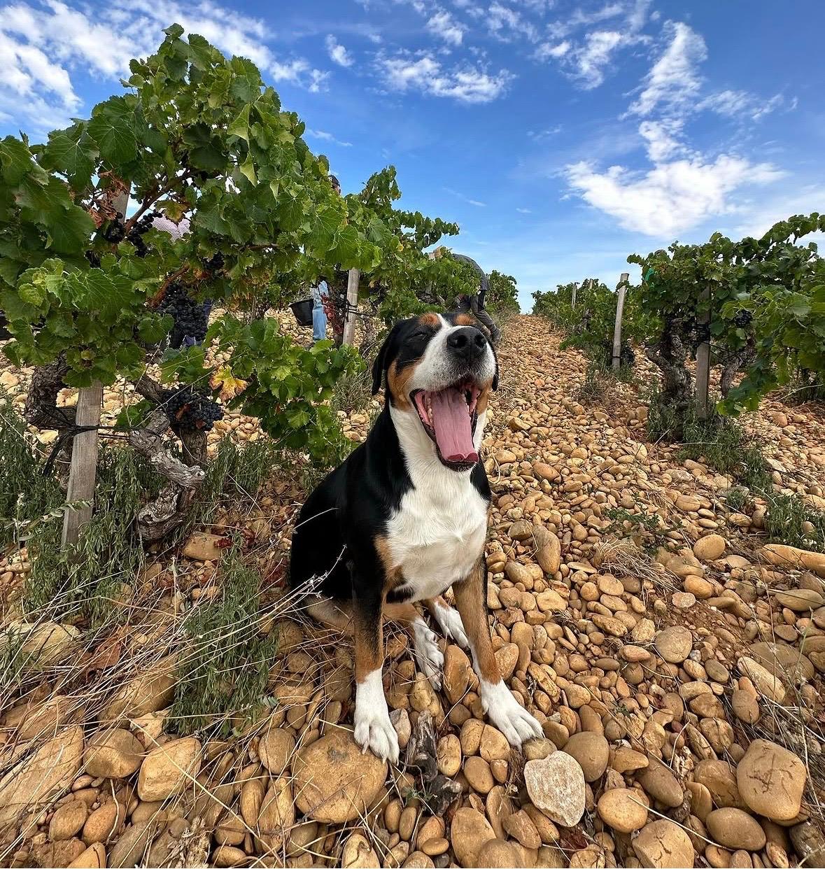 WhatsApp Image 2026-03-06 at 09.01.08 (4)