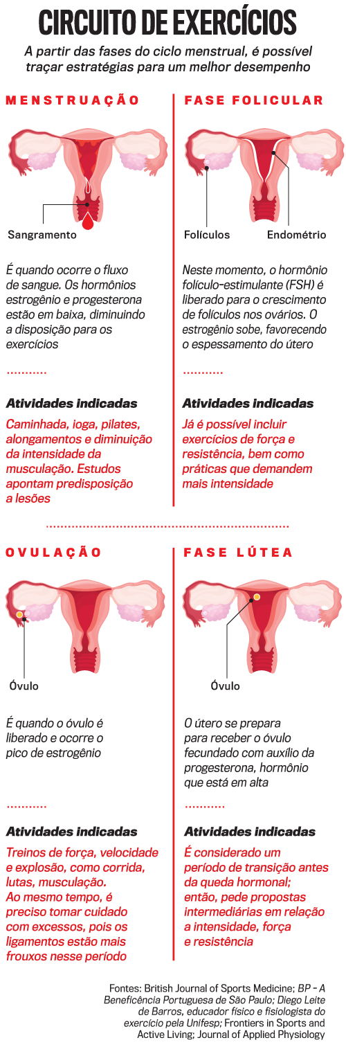 arte ciclo menstrual