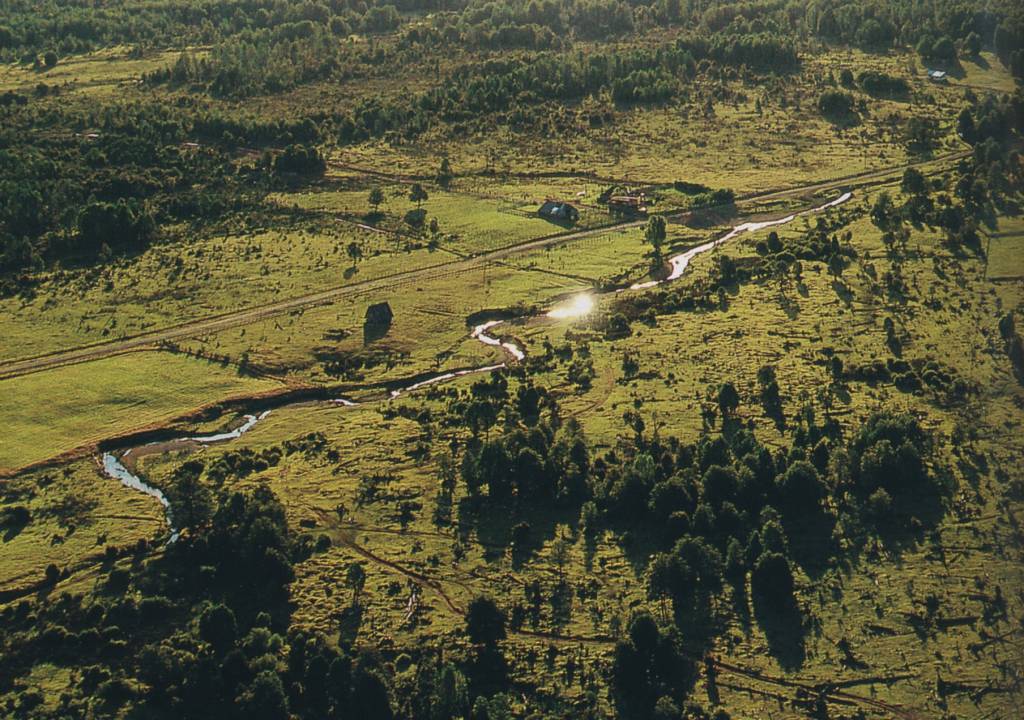 monteverde