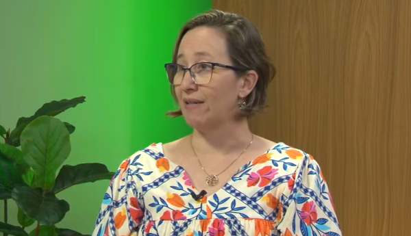 ‘Uma árvore na porta de casa reduz 50% da poluição interna’, diz professora da Unifesp