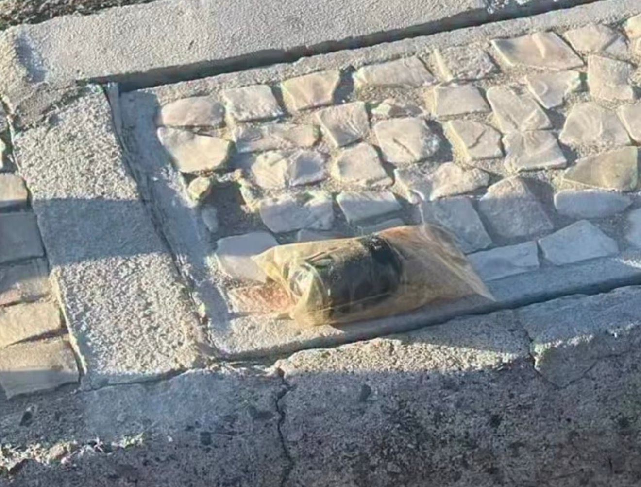 Vídeo: como a polícia fluminense desarmou uma granada encontrada na orla de Copacabana