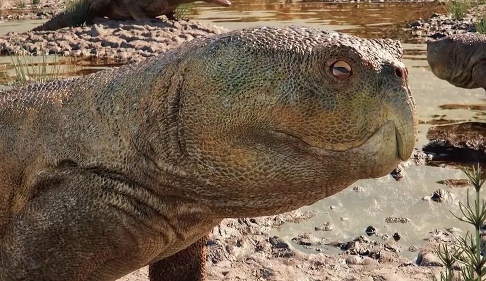 Réptil com bico de papagaio? Fóssil de 230 milhões de anos é descoberto no Rio Grande do Sul