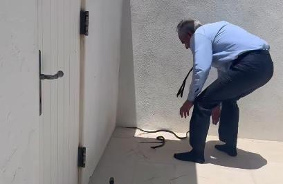 Secretário de Saúde dos EUA enfrenta cobras na Flórida e acaba picado; veja vídeo