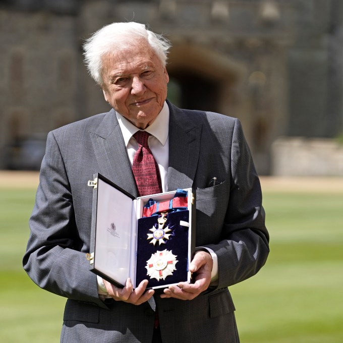 David Attenborough: os 100 anos do maior documentarista da natureza