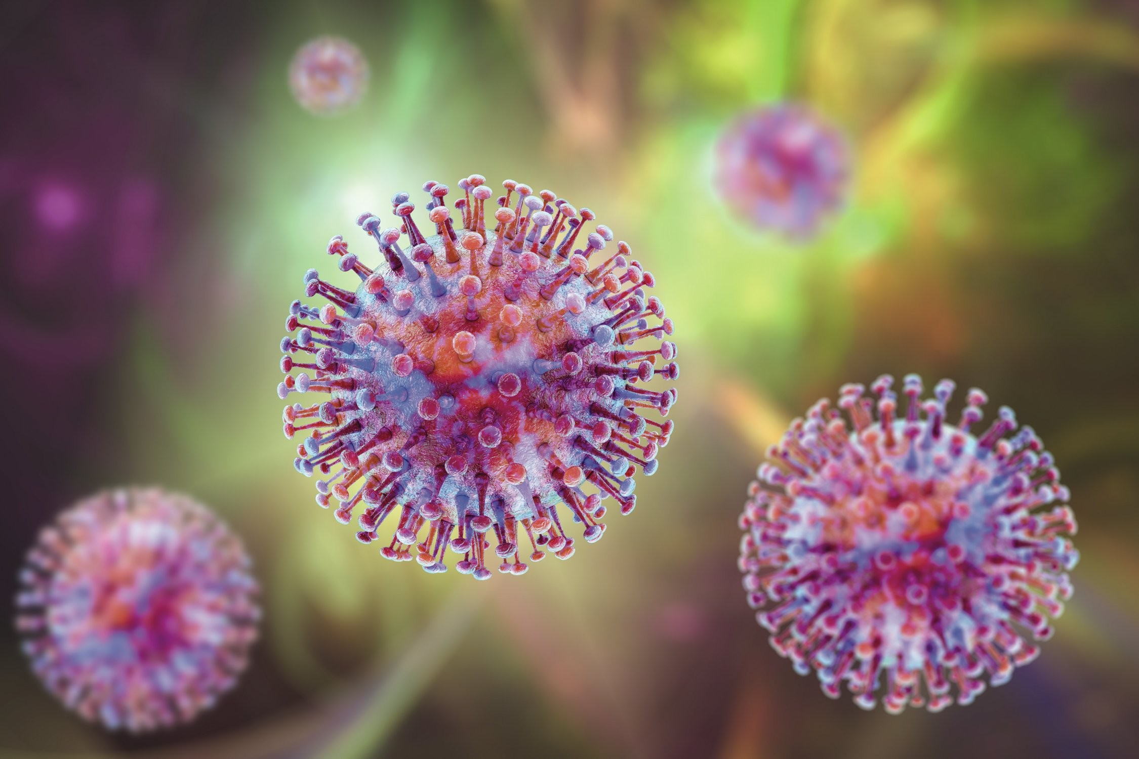 Hantavírus: temor de uma nova covid-19 tem fundamento? O que a ciência diz sobre chances de uma nova pandemia