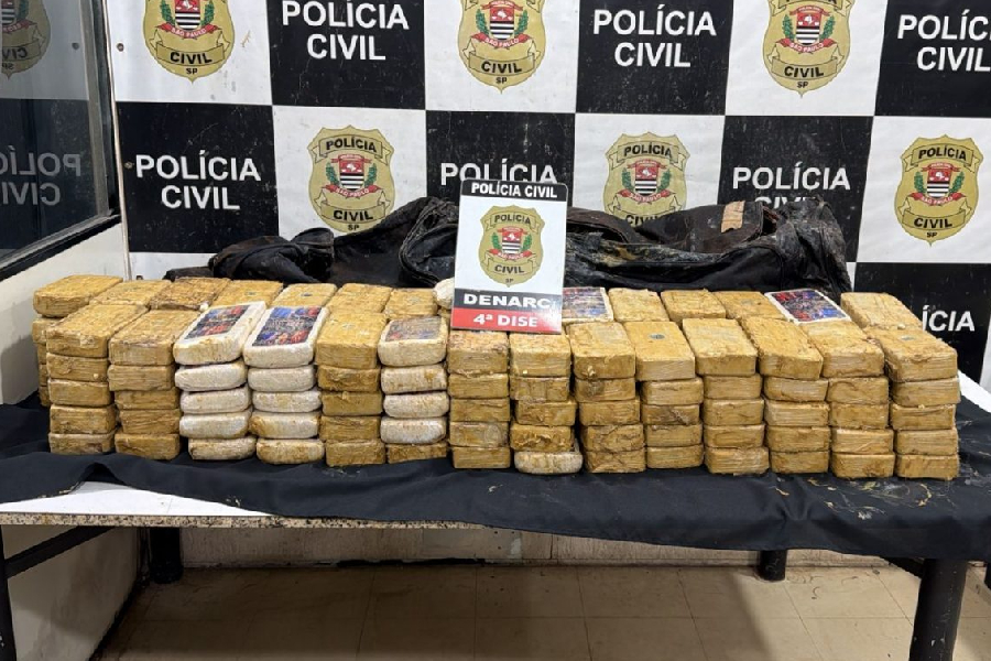 Polícia encontra R$ 3 milhões em cocaína escondida sob esterco no interior de SP