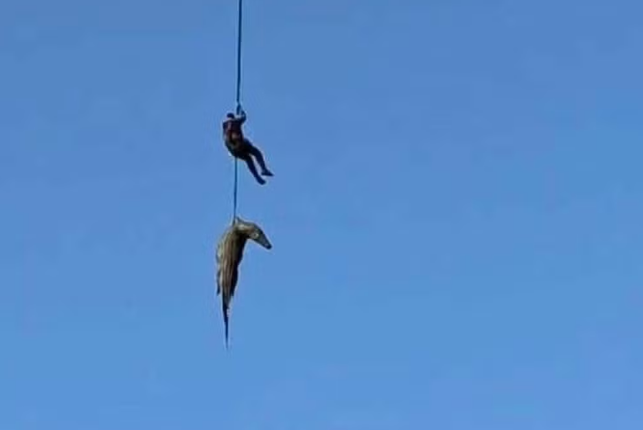 Policial enfrenta rio com crocodilos em busca por desaparecido na África do Sul; veja vídeo