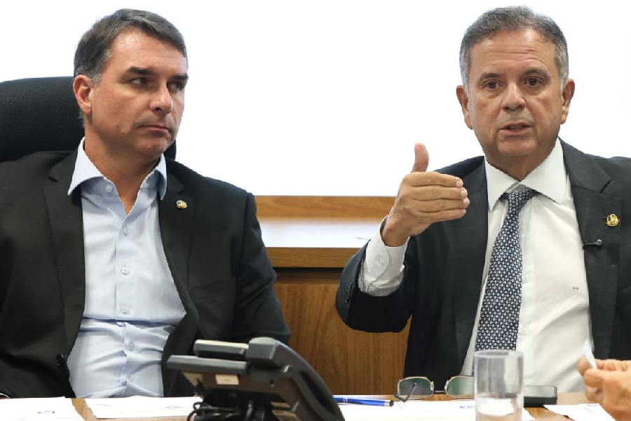 Os senadores Flávio Bolsonaro e Rogério Marinho