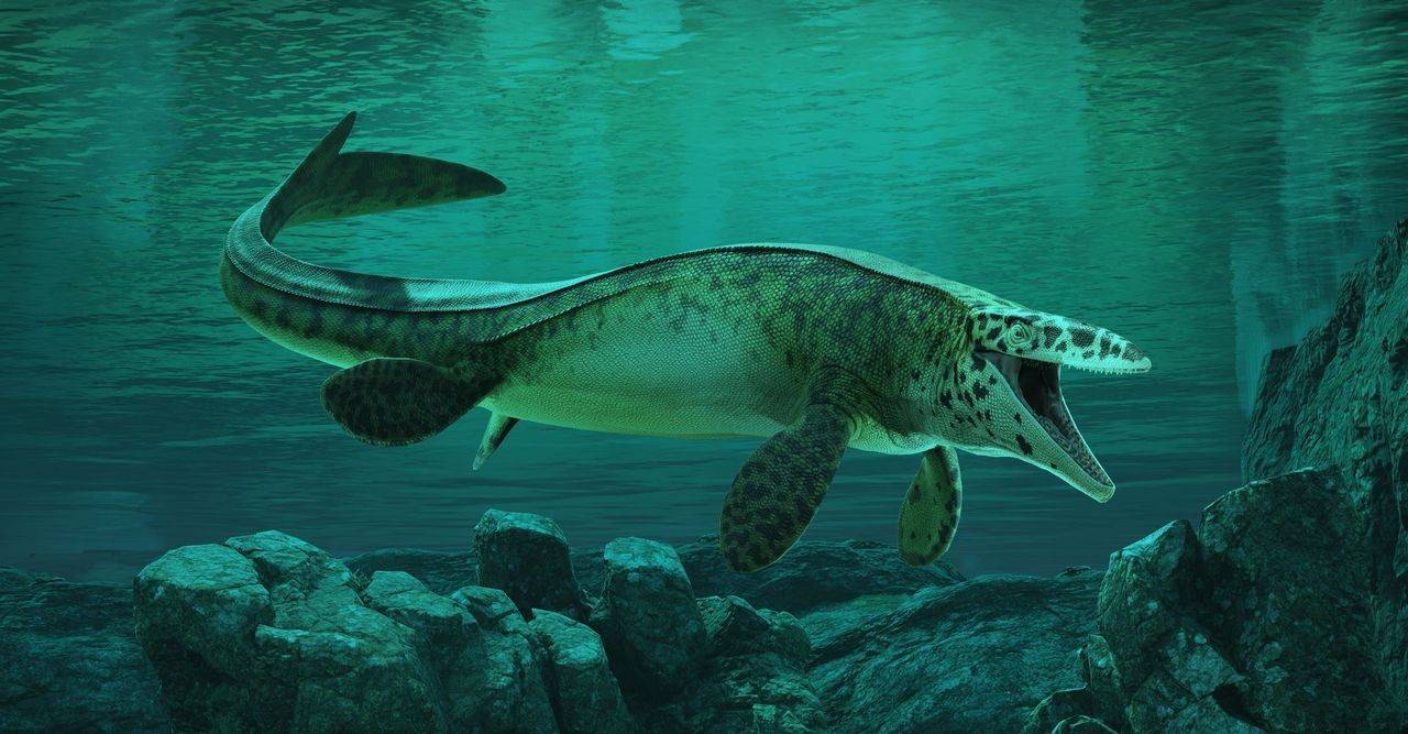 O T. rex recém-descoberto que aterrorizou os mares no Cretáceo