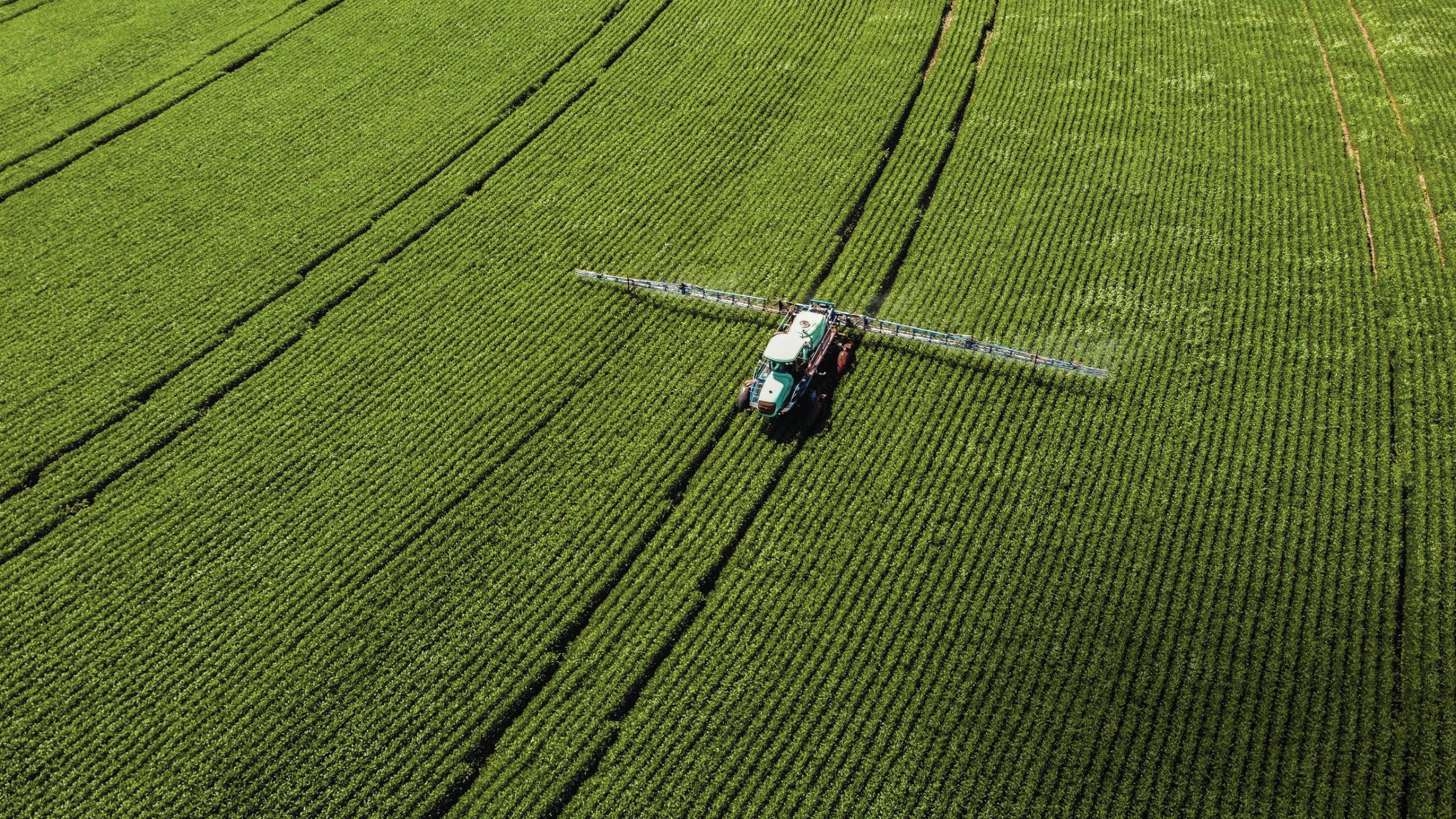 A pot&ecirc;ncia do agroneg&oacute;cio brasileiro: respeitado em todo o mundo