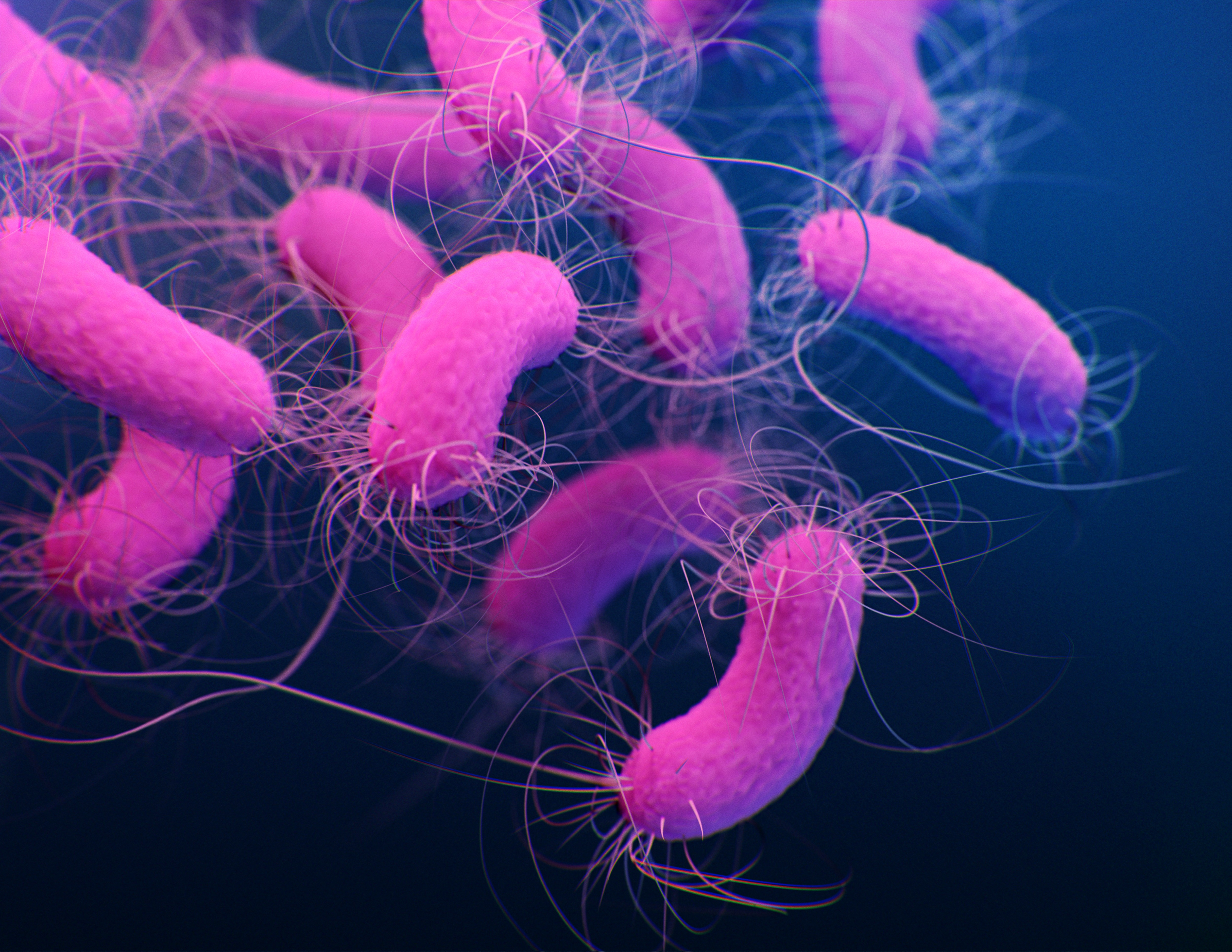 Pseudomonas aeruginosa: cientista explica quem é a bactéria que contaminou água Crystal e produtos da Ypê