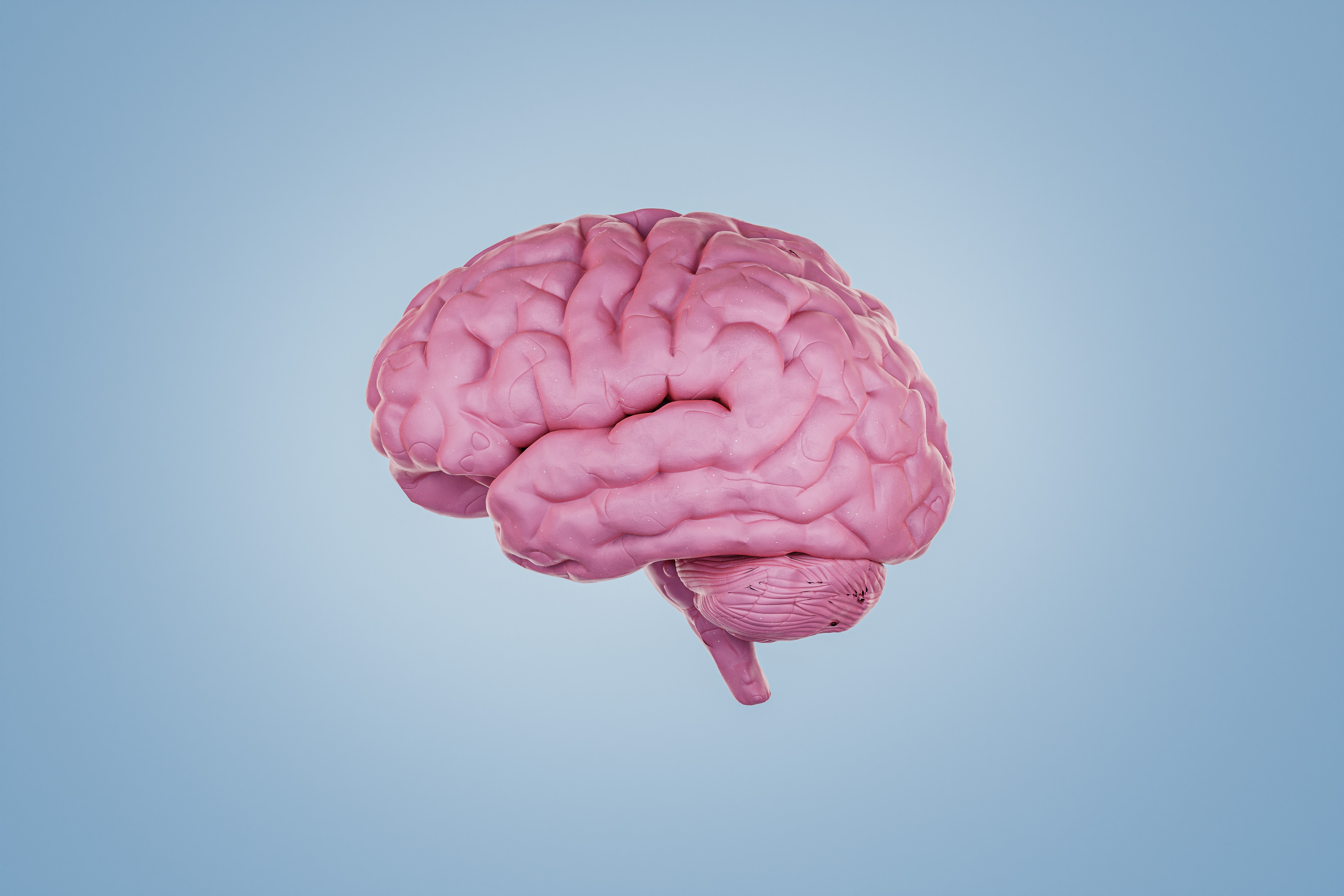 Pesquisadores descobrem que bilíngues apresentam atividades cerebrais semelhantes ao falar diferentes idiomas