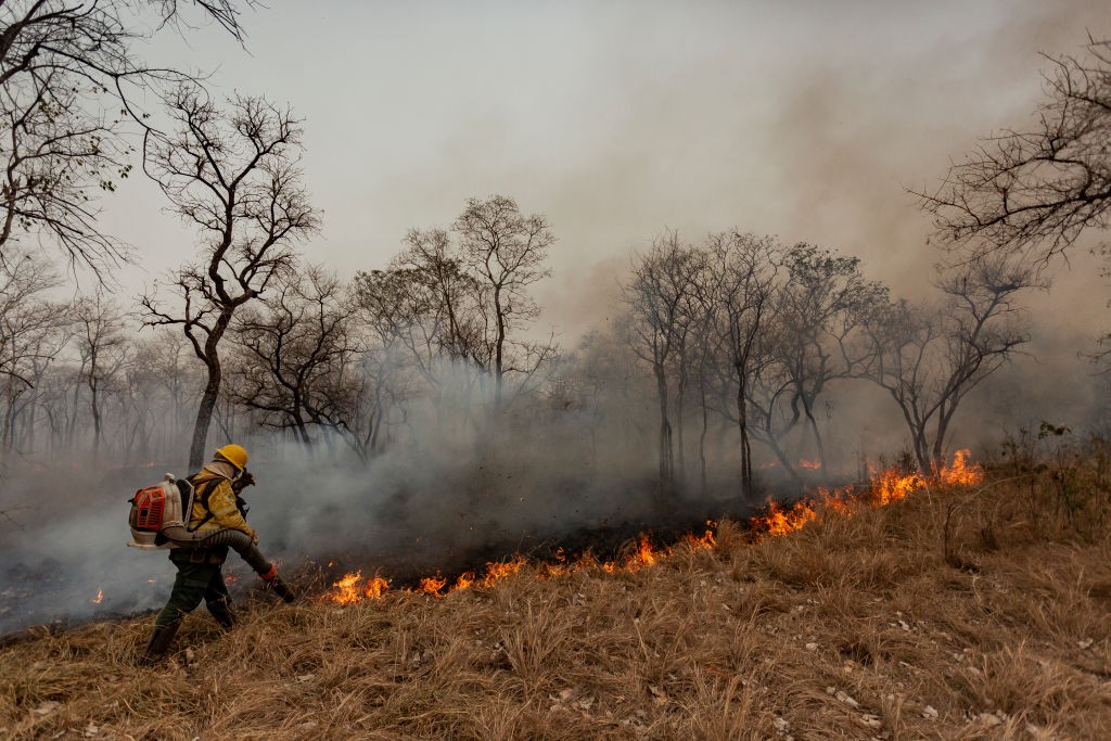 O plano do governo para combater o El Niño que se torna cada vez mais poderoso
