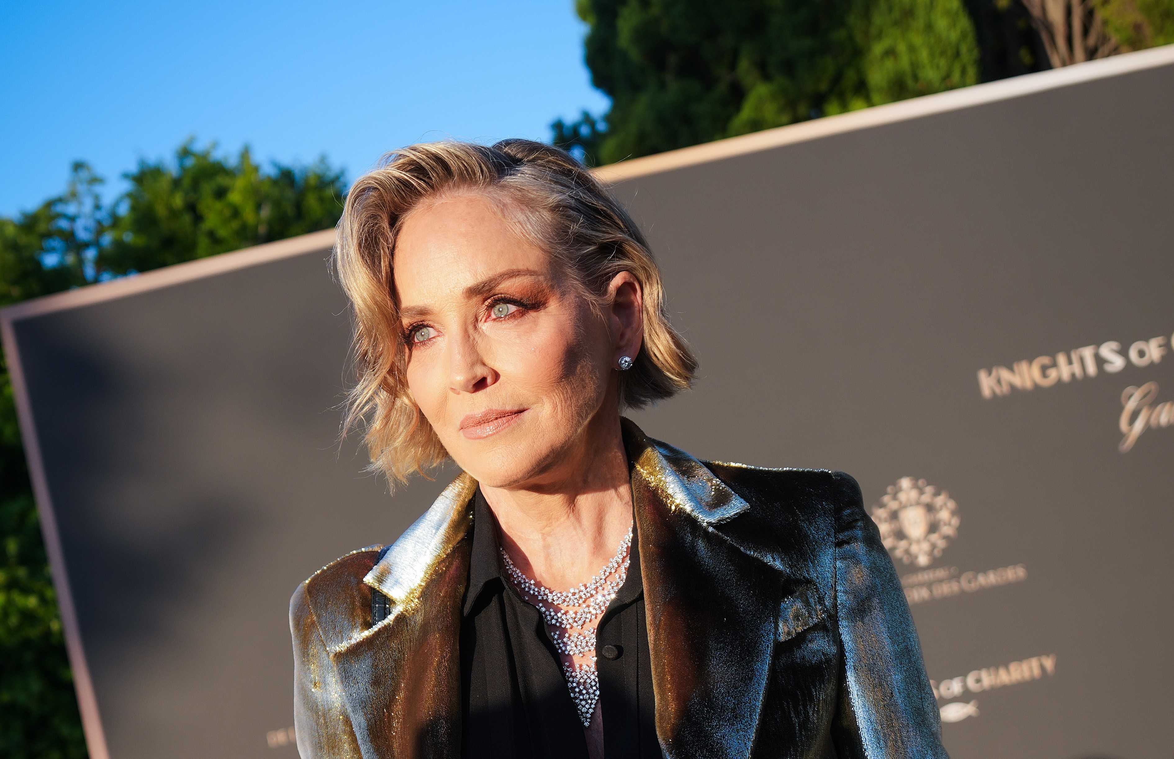 Sharon Stone declara ter sido vítima de agressão; entenda