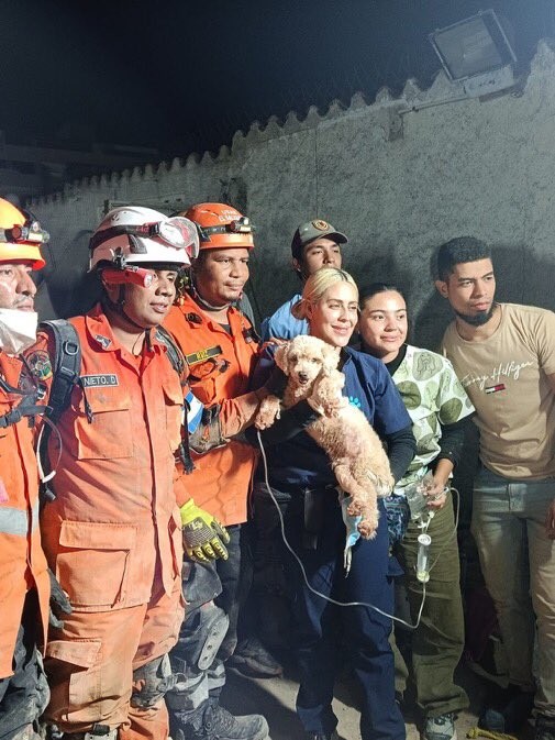 Cachorra é resgatada viva após cinco dias sob escombros na Venezuela; veja vídeo
