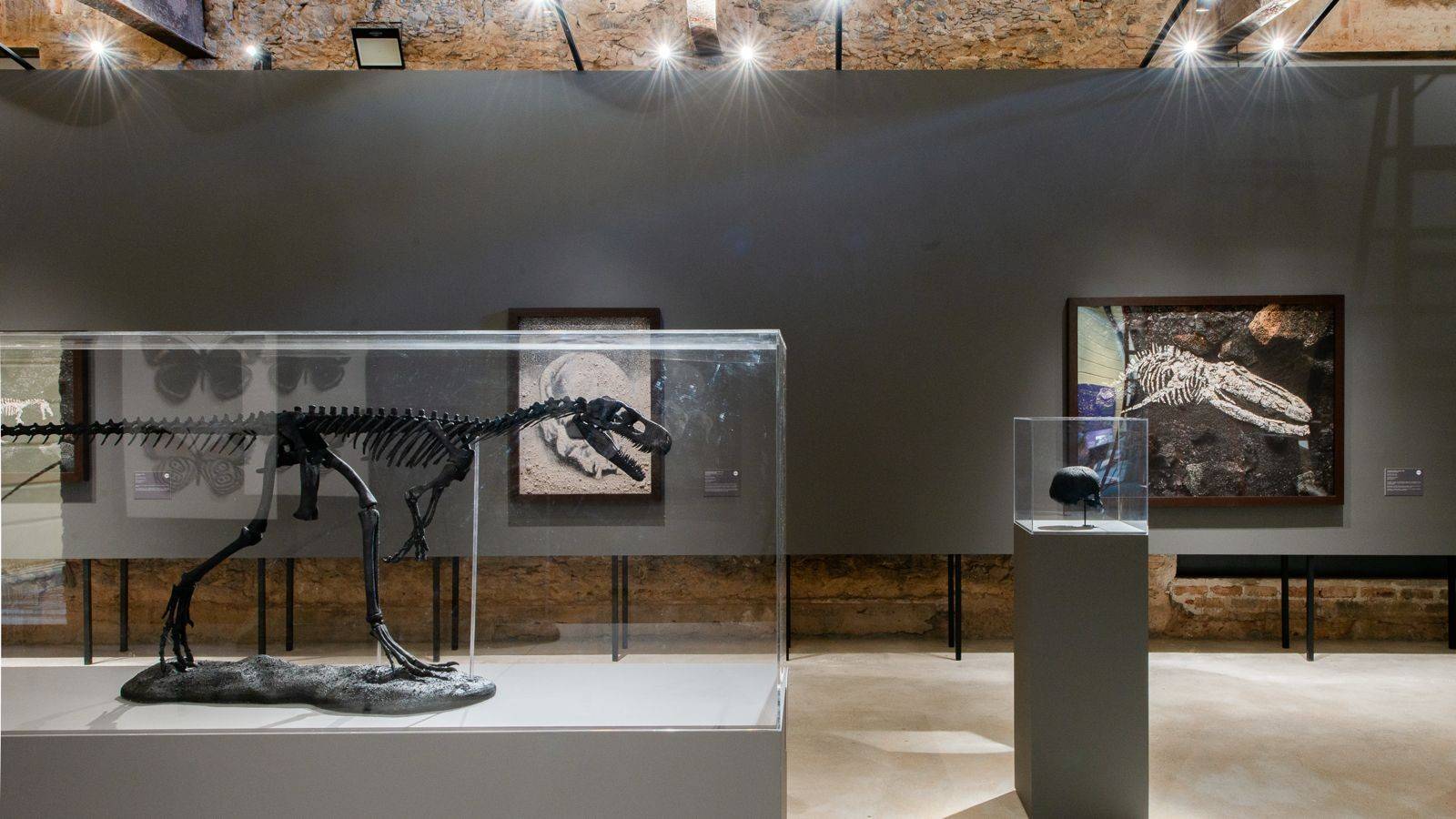 Museu Nacional ainda precisa de R$ 164 milhões para concluir reconstrução