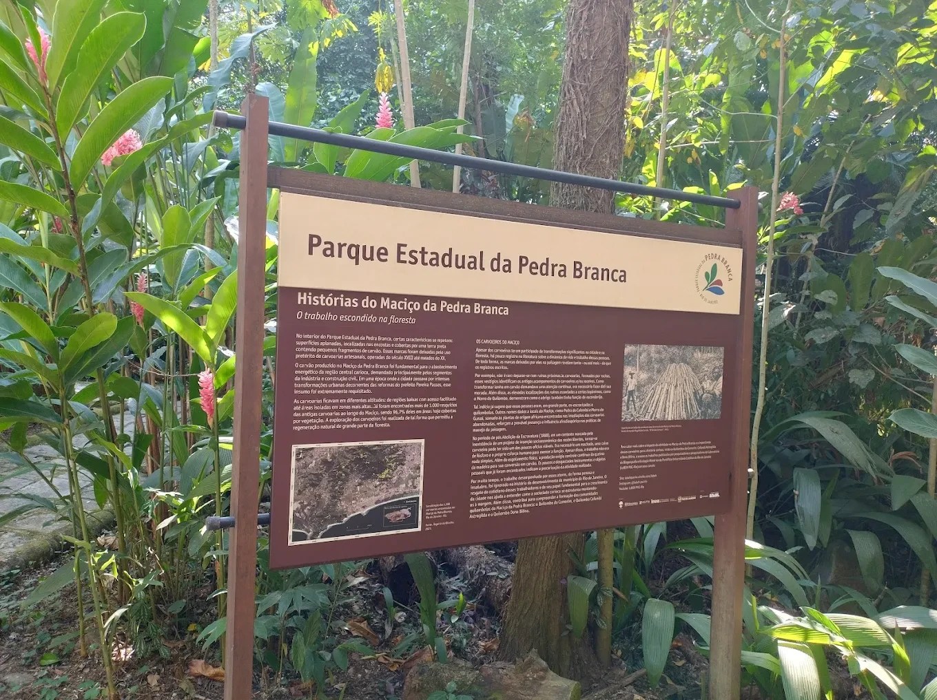 Como era o esquema de venda irregular de terrenos dentro de parque estadual do Rio
