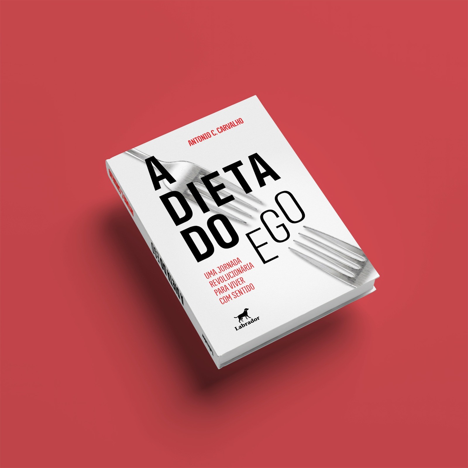 Do colapso ao sentido: ex-executivo lança livro sobre os perigos do ego no mundo corporativo