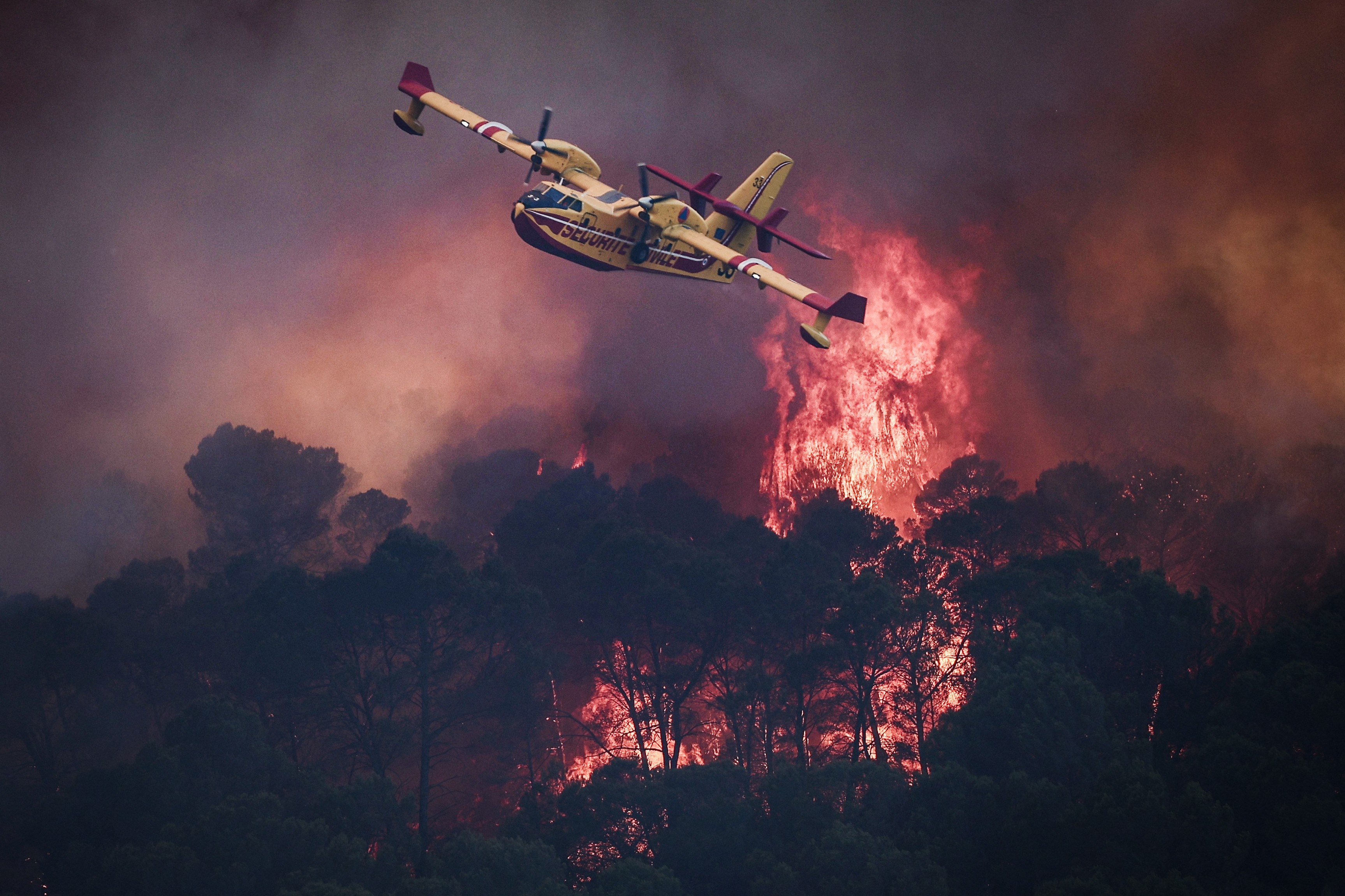 França manda esvaziar península inteira por incêndio e 40.000 fogem das chamas; veja fotos