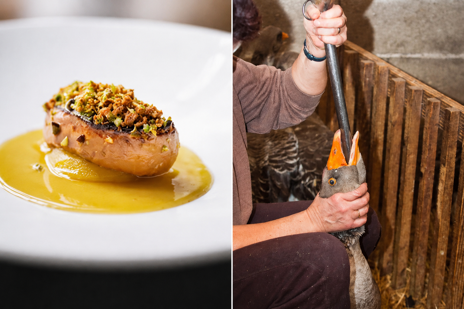 Como é produzido o foie gras, especiaria francesa alvo de polêmica