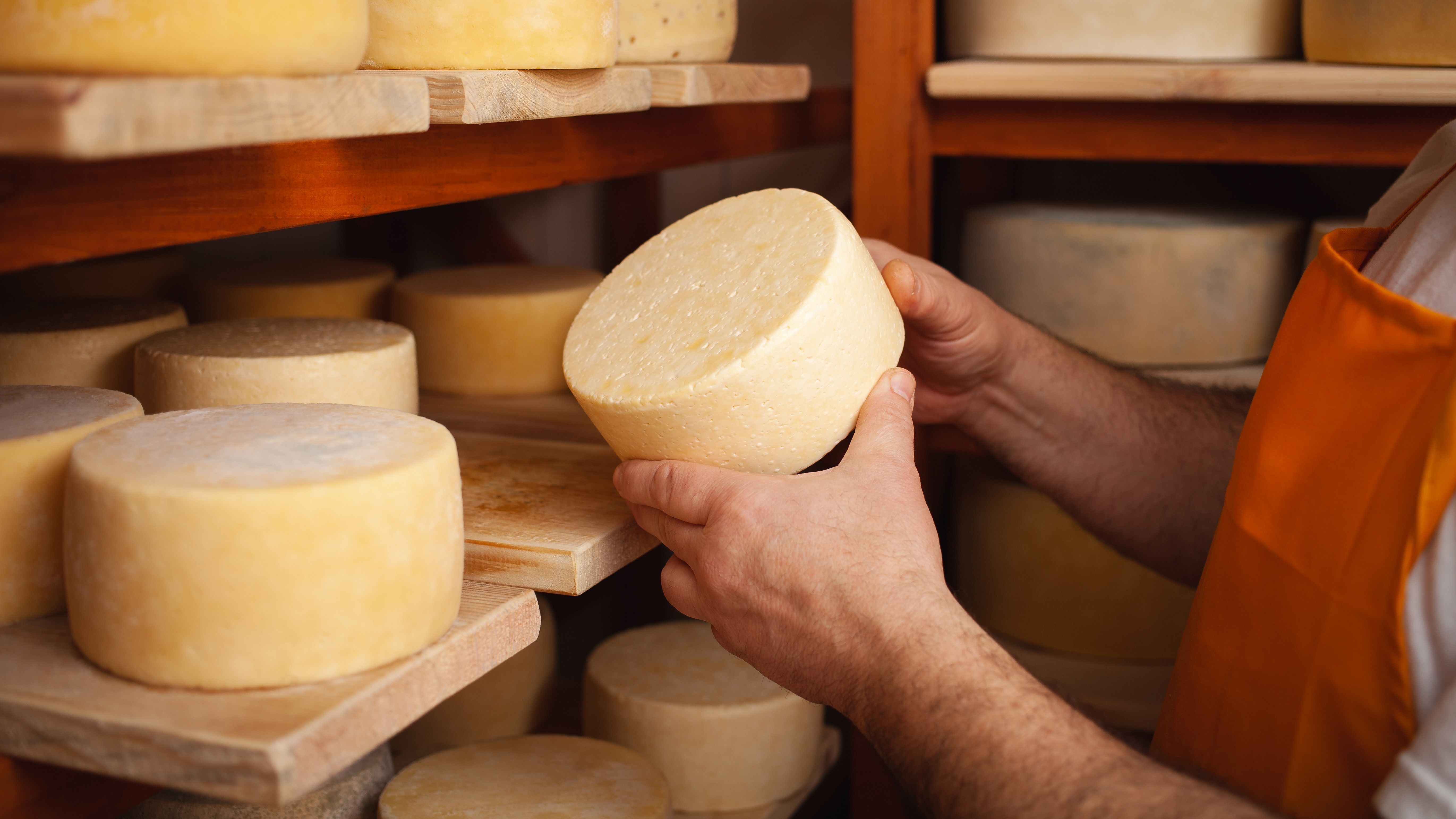 Anvisa suspende venda de queijo artesanal e molho pesto; saiba as marcas