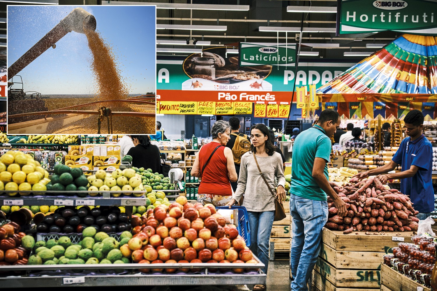 EFEITO COLATERAL - Colheita no interior do pa&iacute;s (&agrave; esq.) e a oferta de alimentos nos supermercados: turbul&ecirc;ncias do clima podem afetar a vida concreta dos brasileiros &mdash; e at&eacute; os humores da pol&iacute;tica nacional