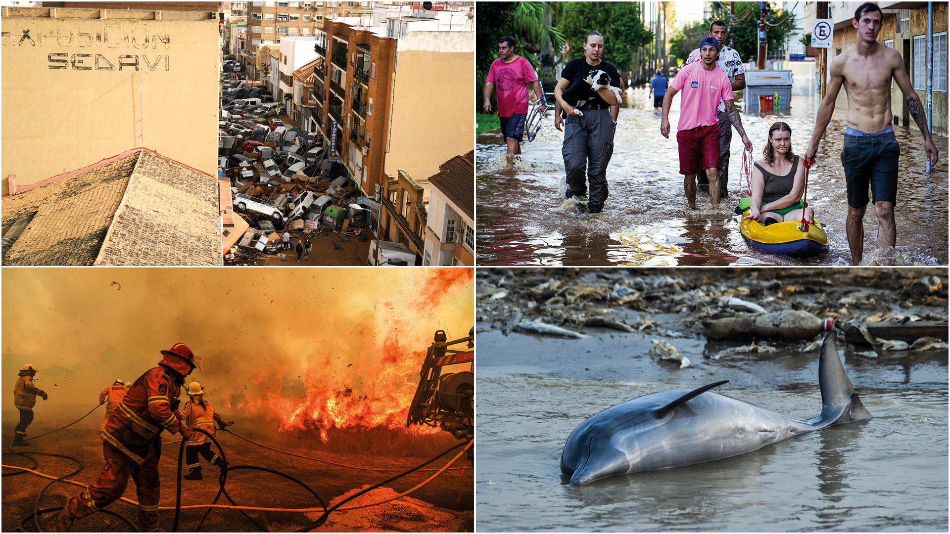 MEM&Oacute;RIA DIF&Iacute;CIL - Cenas do El Ni&ntilde;o de 2024: tempestade em Val&ecirc;ncia (acima, &agrave; esq.), enchentes no Sul, inc&ecirc;ndio na Austr&aacute;lia (abaixo, &agrave; esq.) e morte de botos na seca da Amaz&ocirc;nia