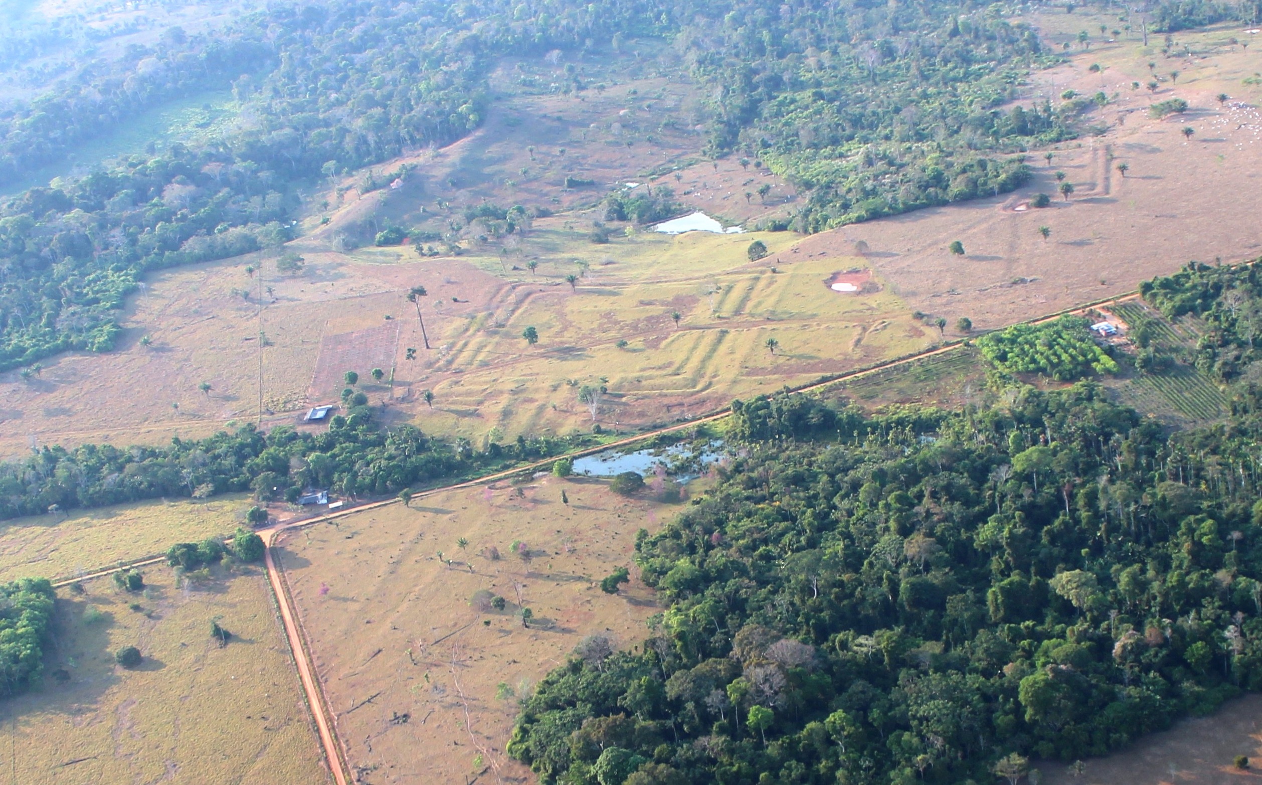 Estudo liderado por finlandeses identifica geoglifos no sudoeste da Amazônia