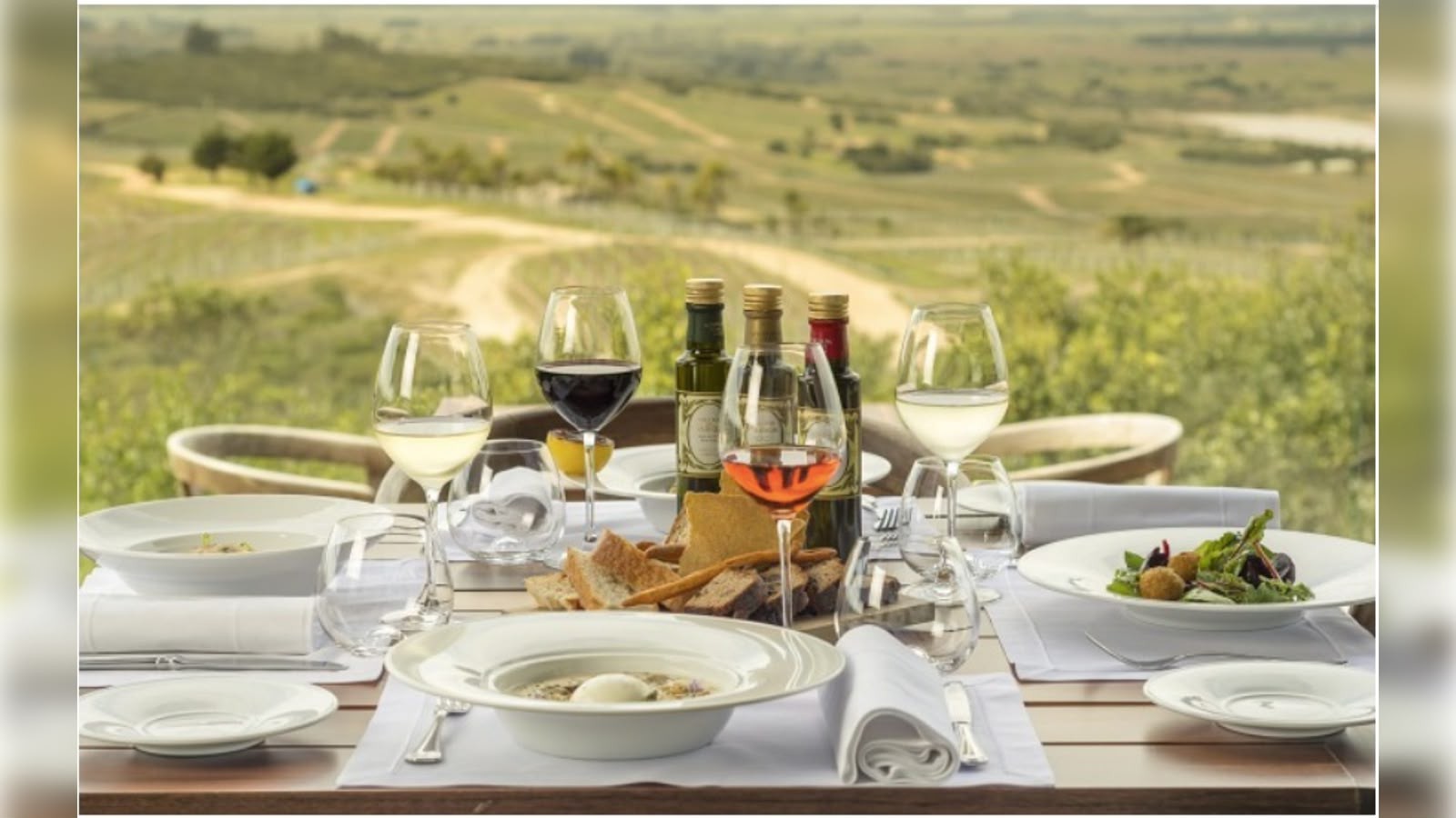 Por que os vinhos entraram no radar de preocupações da ONU