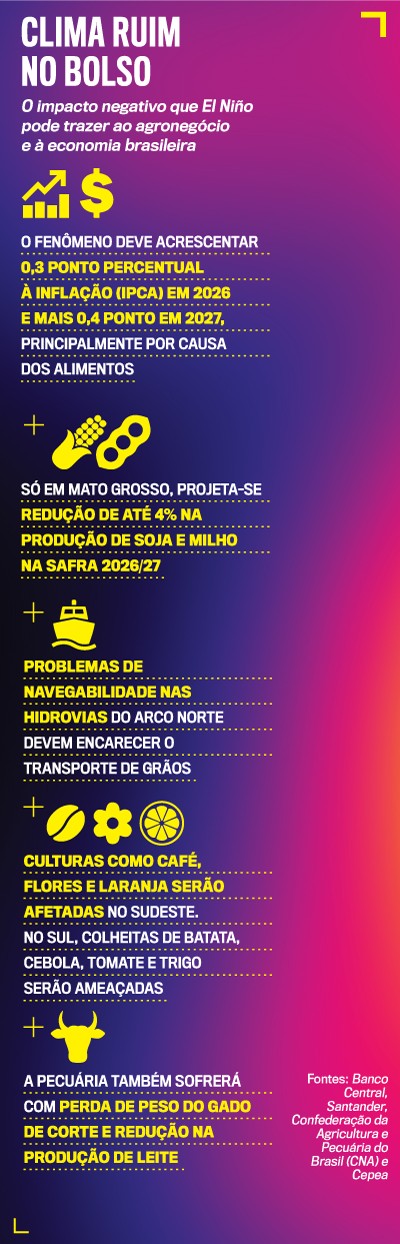 Infogr&aacute;fico sobre o impacto do El Ni&ntilde;o na economia brasileira, com t&iacute;tulo Clima ruim no bolso. Detalha aumento da infla&ccedil;&atilde;o, redu&ccedil;&atilde;o na produ&ccedil;&atilde;o de soja e milho, encarecimento do transporte de gr&atilde;os, culturas afetadas no Sudeste e Sul, e perdas na pecu&aacute;ria. &Iacute;cones amarelos ilustram cada t&oacute;pico em fundo roxo e rosa