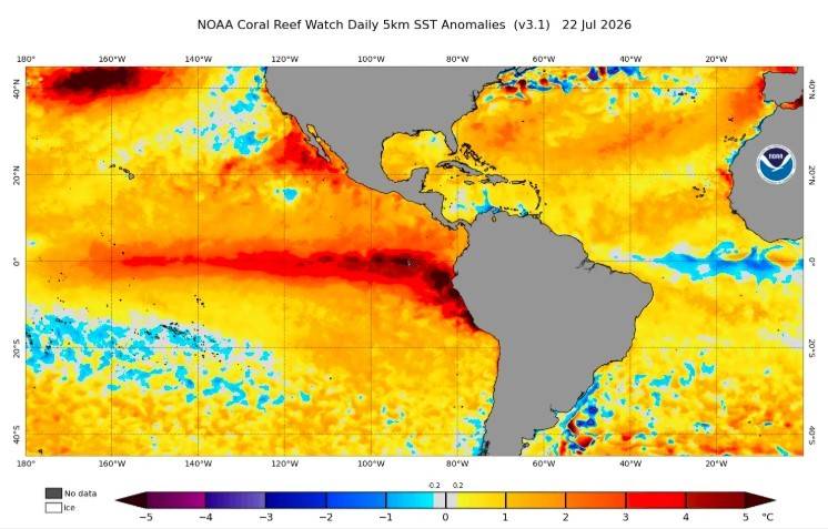 El Niño atinge intensidade jamais vista para julho e reforça risco de evento histórico