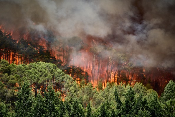 Onda de calor intensifica incêndios na Europa, deixando milhares de deslocados