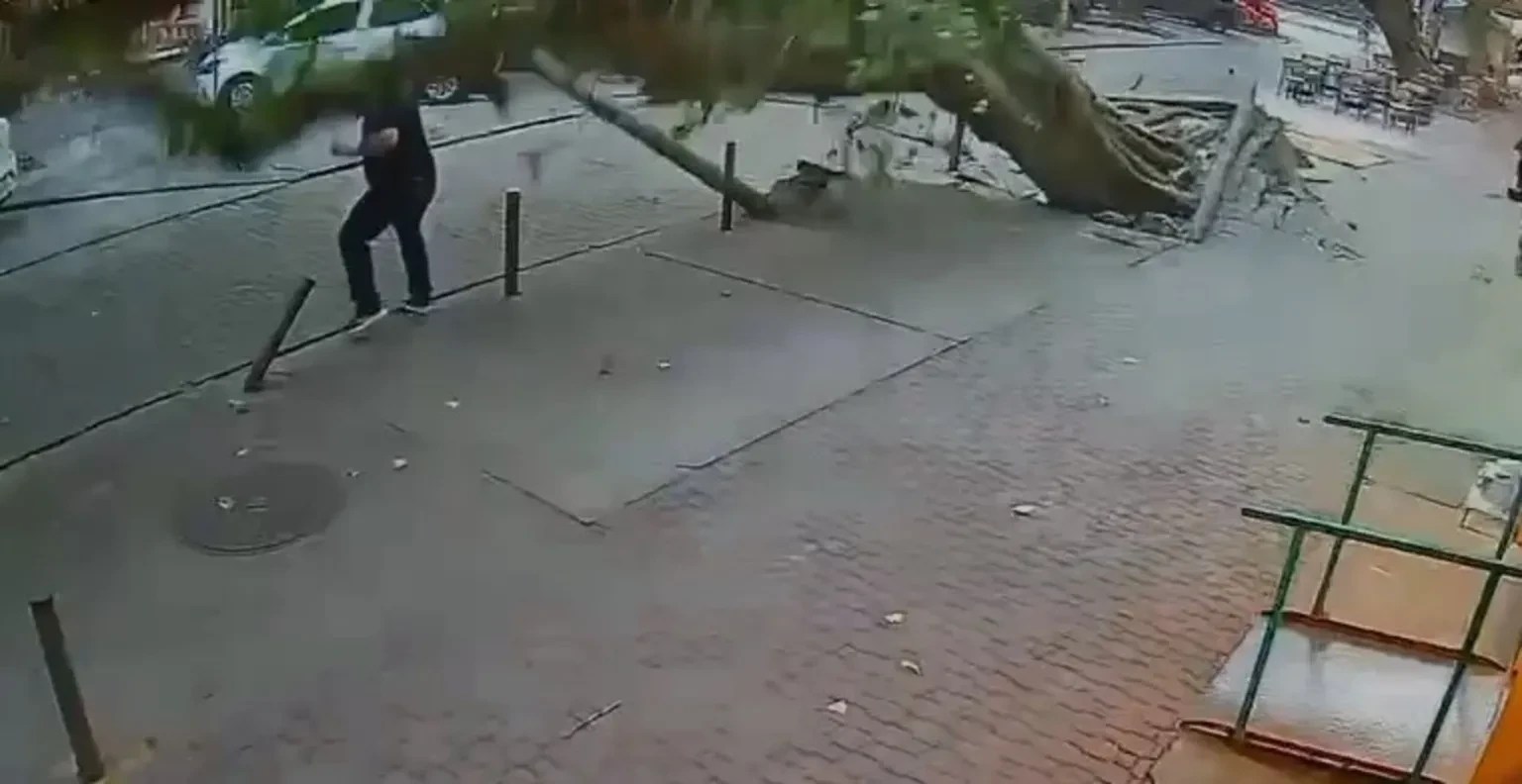 Vídeo mostra homem escapando por pouco de queda de árvore durante vendaval na Tijuca