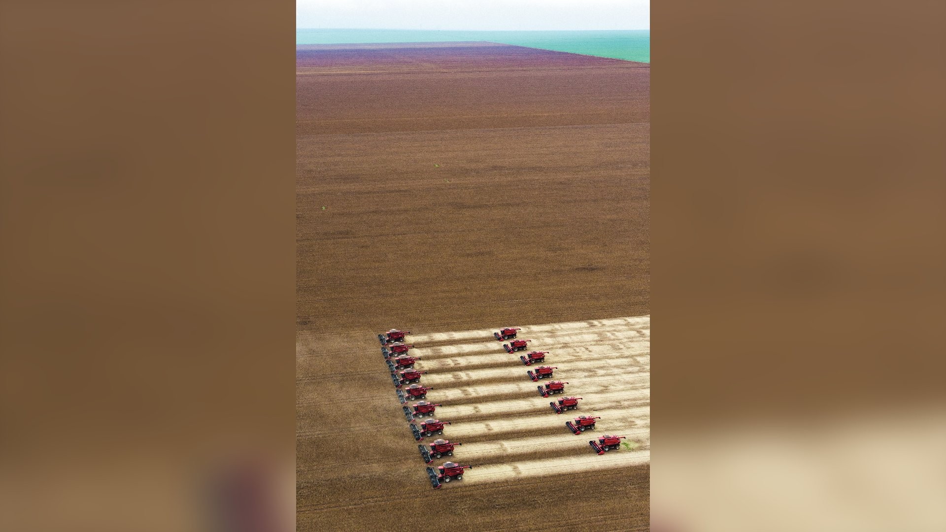 Brasil caminha para ultrapassar os EUA e se tornar o maior exportador agrícola do planeta
