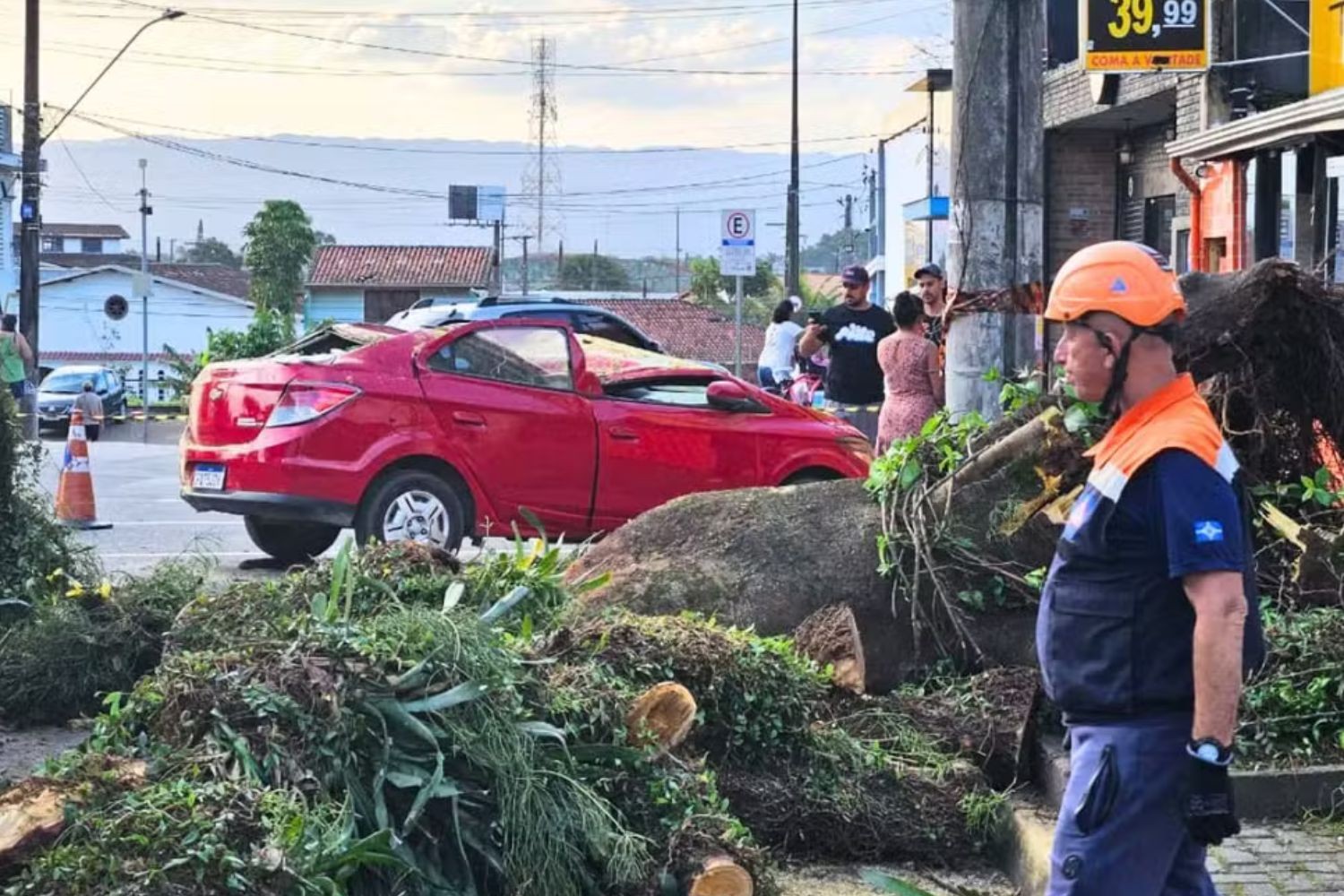 Pai e filho sobrevivem a carro esmagado por árvore na véspera do Dia dos Pais